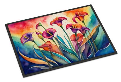 NEW Calla Lilies in Color Doormat Front Door Mat Indoor Outdoor Rugs for Entryway, Non Slip Washable Low Pile, 18H X 27W