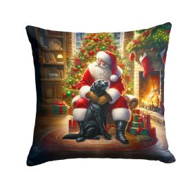 Labrador Retriever and Santa Claus Throw Pillow Machine Washable, Indoor Outdoor Decorative Pillow for Couch, Bed or Patio, 14Hx14W