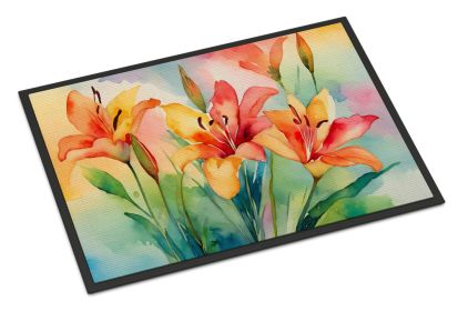 NEW Lilies in Watercolor Doormat Front Door Mat Indoor Outdoor Rugs for Entryway, Non Slip Washable Low Pile, 18H X 27W (Default: Default)